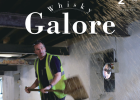 ピックアップ画像